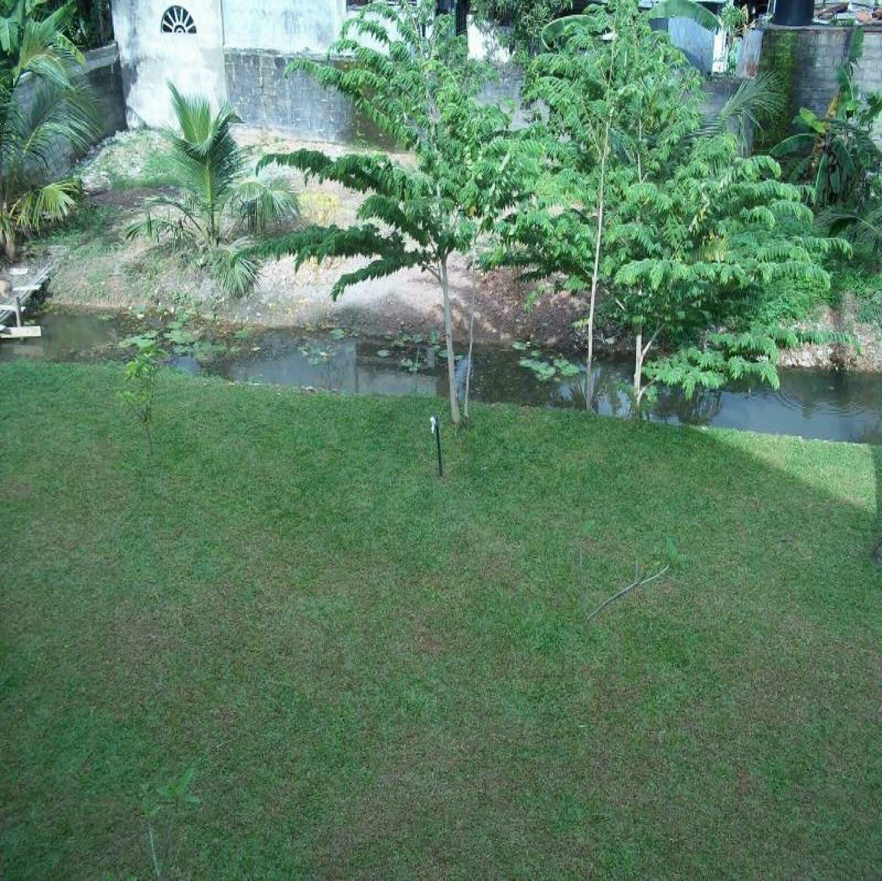 Sunrise Palace Negombo Dış mekan fotoğraf